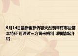 9月14日最新更新内容天然翡翠有哪些基本特征 可通过三方面来辨别 详细情况介绍