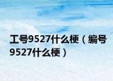 工号9527什么梗（编号9527什么梗）
