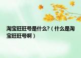 淘宝旺旺号是什么?（什么是淘宝旺旺号啊）