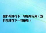 塑料姐妹花下一句是啥兄弟（塑料姐妹花下一句是啥）
