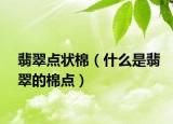 翡翠点状棉（什么是翡翠的棉点）