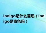 indigo是什么意思（indigo是青色吗）