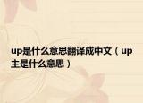 up是什么意思翻译成中文（up主是什么意思）