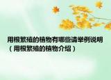 用根繁殖的植物有哪些请举例说明（用根繁殖的植物介绍）