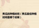 黄瓜的种植时间（黄瓜最佳种植时间是哪个时候）