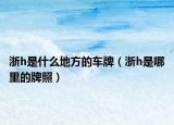 浙h是什么地方的车牌（浙h是哪里的牌照）