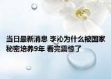 当日最新消息 李沁为什么被国家秘密培养9年 看完震惊了