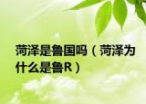 菏泽是鲁国吗（菏泽为什么是鲁R）