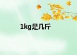1kg是几斤