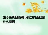 生态系统自我调节能力的基础是什么意思