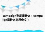 campaign到底是什么（campaign是什么意思中文）