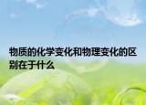 物质的化学变化和物理变化的区别在于什么