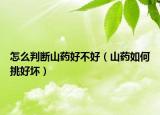 怎么判断山药好不好（山药如何挑好坏）
