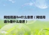 网络用语lbn什么意思（网络用语lb是什么意思）