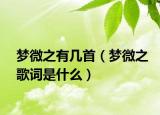 梦微之有几首（梦微之歌词是什么）