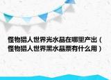 怪物猎人世界光水晶在哪里产出（怪物猎人世界黑水晶票有什么用）