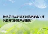 杜鹃花开花时能不能施肥肥水（杜鹃花开花时能不能施肥）