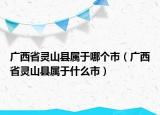 广西省灵山县属于哪个市（广西省灵山县属于什么市）