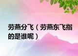 劳燕分飞（劳燕东飞指的是谁呢）