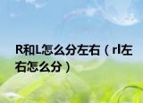 R和L怎么分左右（rl左右怎么分）