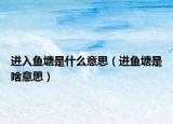 进入鱼塘是什么意思（进鱼塘是啥意思）
