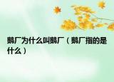 鹅厂为什么叫鹅厂（鹅厂指的是什么）