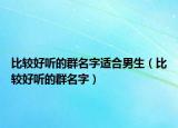比较好听的群名字适合男生（比较好听的群名字）