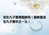 龙生九子里有貔貅吗（貔貅是龙生九子里中之一么）