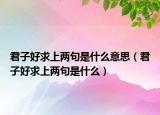 君子好求上两句是什么意思（君子好求上两句是什么）