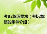 考B2驾照要求（考b2驾照的条件介绍）