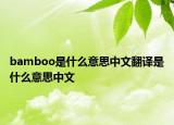 bamboo是什么意思中文翻译是什么意思中文