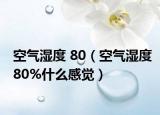 空气湿度 80（空气湿度80%什么感觉）