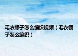 毛衣领子怎么编织视频（毛衣领子怎么编织）