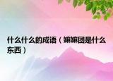 什么什么的成语（嫲嫲团是什么东西）