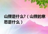 山狸是什么?（山狸的意思是什么）