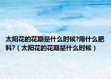 太阳花的花期是什么时候?用什么肥料?（太阳花的花期是什么时候）