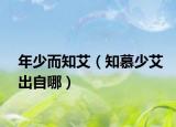 年少而知艾（知慕少艾出自哪）