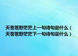 天苍苍野茫茫上一句诗句是什么（天苍苍野茫茫下一句诗句是什么）