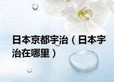 日本京都宇治（日本宇治在哪里）