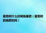 葡萄树什么时候施基肥（葡萄树的施肥时间）