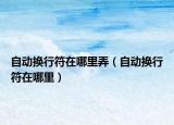 自动换行符在哪里弄（自动换行符在哪里）