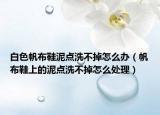 白色帆布鞋泥点洗不掉怎么办（帆布鞋上的泥点洗不掉怎么处理）
