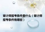 审计师报考条件是什么（审计师报考条件有哪些）
