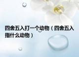 四舍五入打一个动物（四舍五入指什么动物）