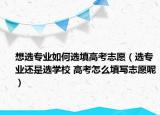 想选专业如何选填高考志愿（选专业还是选学校 高考怎么填写志愿呢）