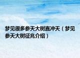 梦见很多参天大树直冲天（梦见参天大树征兆介绍）