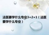 法医要学什么专业3+2+1（法医要学什么专业）