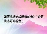 如何挑选比较新鲜的鱼?（如何挑选好吃的鱼）
