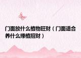门面放什么植物旺财（门面适合养什么绿植招财）