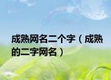 成熟网名二个字（成熟的二字网名）